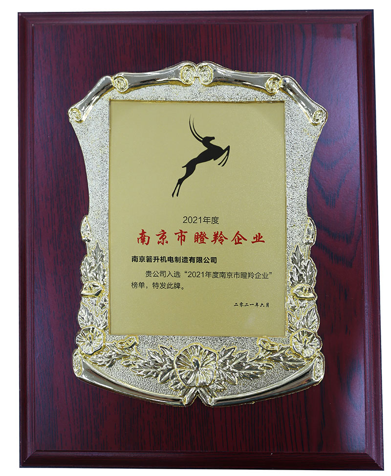 市瞪羚企业